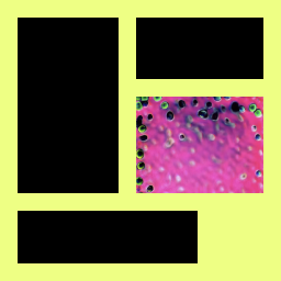 Algorithm-Driven Design