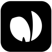 NLPearl AI Voice Agent