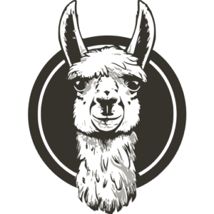 Prompt Llama – Gemini Flash Prompt