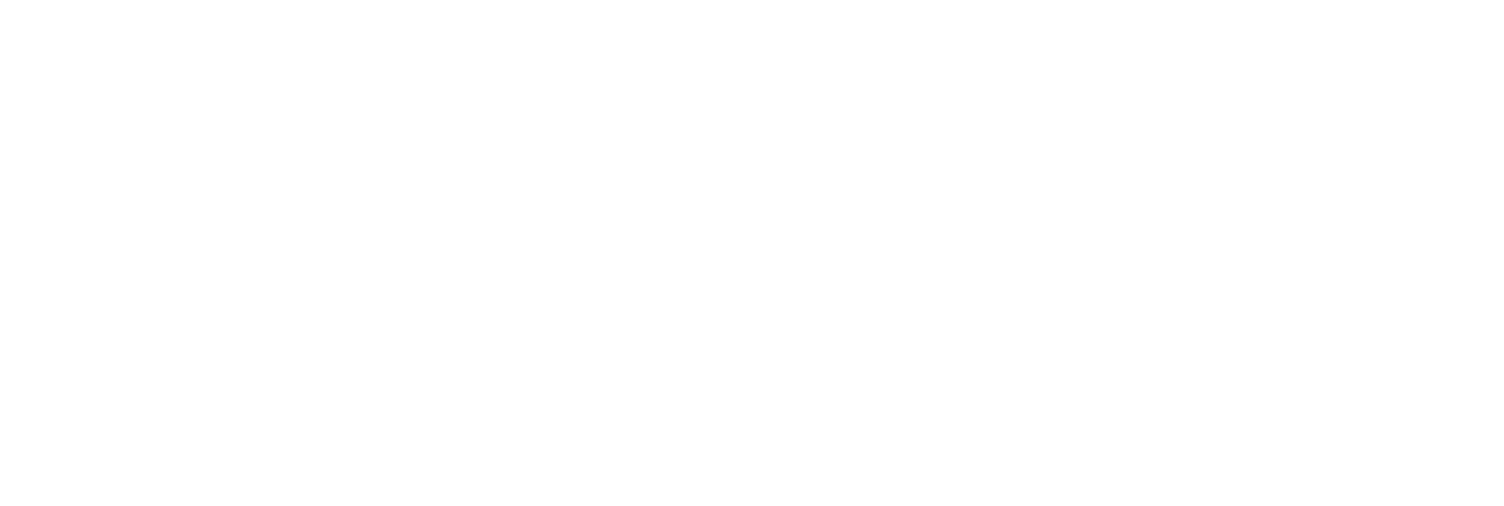Steer
